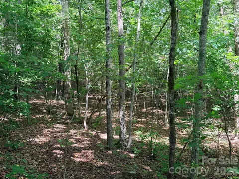 00 Grassy Knob 5 Rd #5, Mill Spring, NC 28756 photo 5