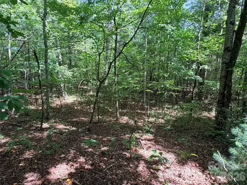 00 Grassy Knob 5 Rd #5, Mill Spring, NC 28756 photo 3