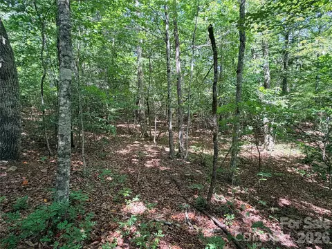 00 Grassy Knob 5 Rd #5, Mill Spring, NC 28756 photo 4