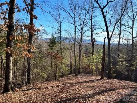 Coast Drive, Mill Spring, NC 28756 photo 5