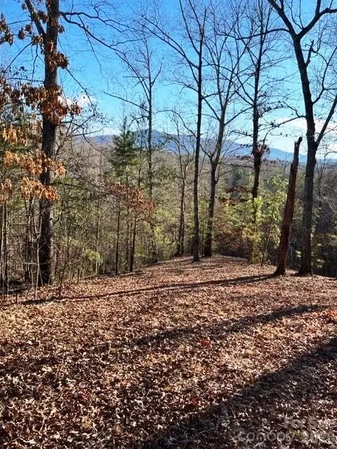 Coast Drive, Mill Spring, NC 28756 photo 6