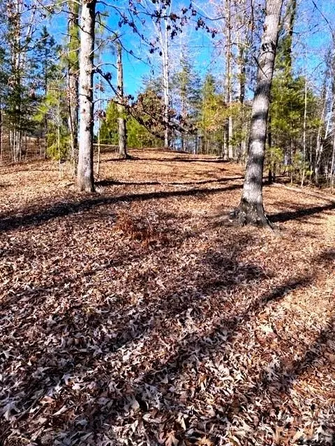 Coast Drive, Mill Spring, NC 28756 photo 4