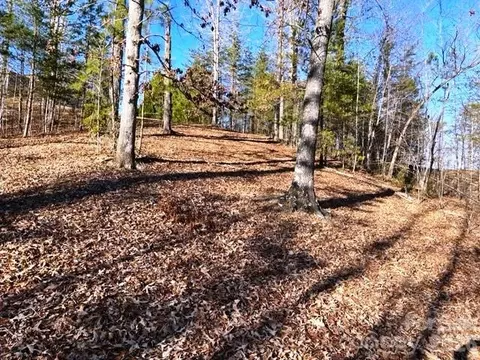 Coast Drive, Mill Spring, NC 28756 photo 2