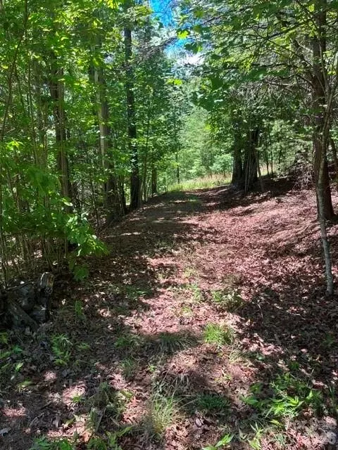 Coast Drive, Mill Spring, NC 28756 photo 7