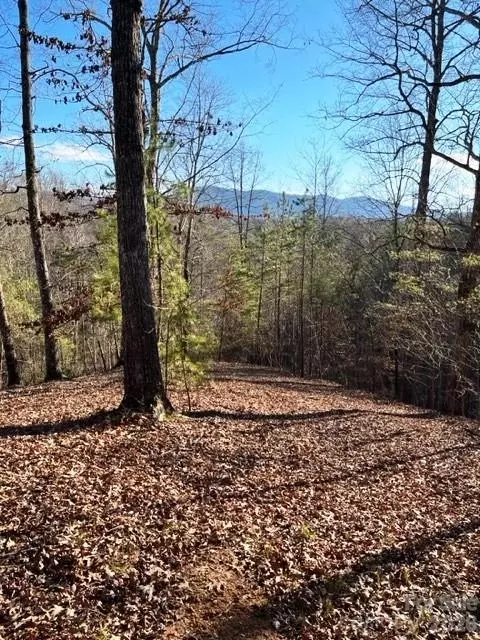 Coast Drive, Mill Spring, NC 28756 photo 3