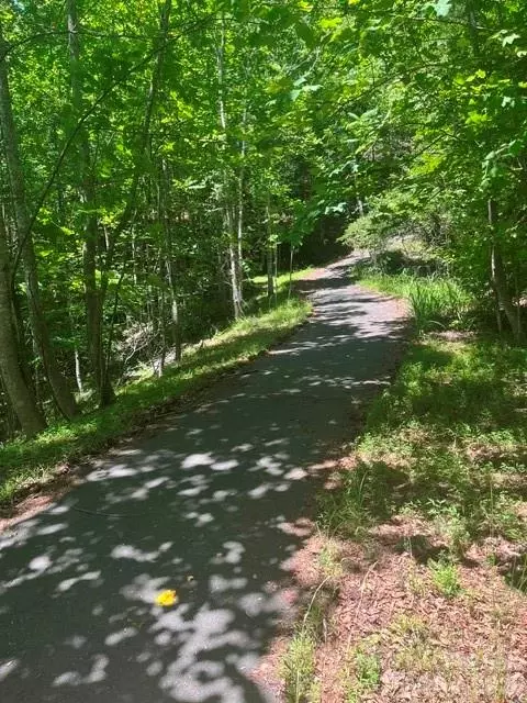 Coast Drive, Mill Spring, NC 28756 photo 8
