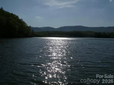 Coast Drive, Mill Spring, NC 28756 photo 14