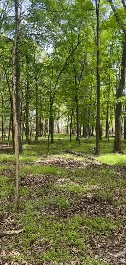 001 Wolf Pond Rd, Monroe, NC 28112 photo 4