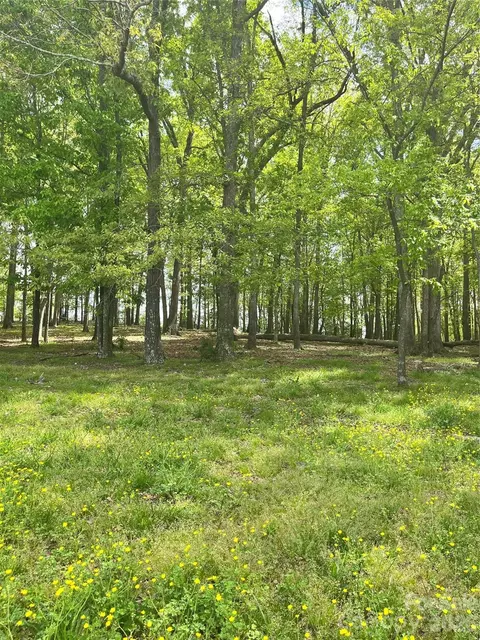 001 Wolf Pond Rd, Monroe, NC 28112 photo 3
