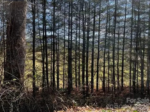 Other - Coventry Drive, Brevard, NC 28712 photo 22 of 39
