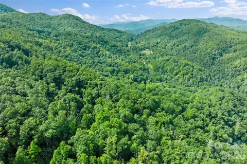 132 Bear River Lodge Trail #132, Marshall, NC 28753