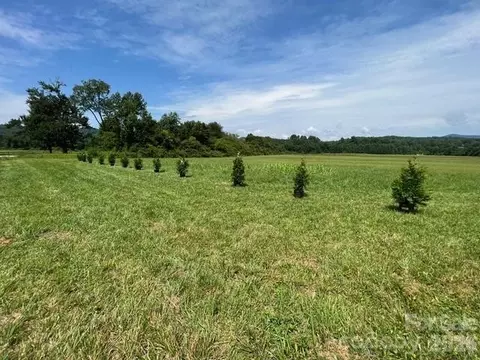 Coventry Drive, Brevard, NC 28712 photo 12