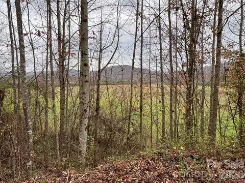 Coventry Drive, Brevard, NC 28712 photo 5