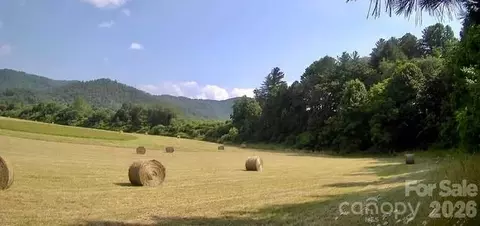 Coventry Drive, Brevard, NC 28712 photo 8