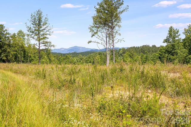 Clark Road, Rutherfordton, NC 28139