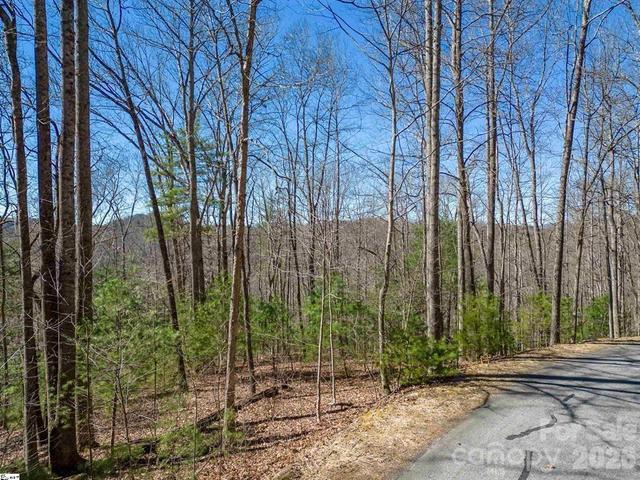 132 Overlook Park 51 Dr #51, Hendersonville, NC 28792