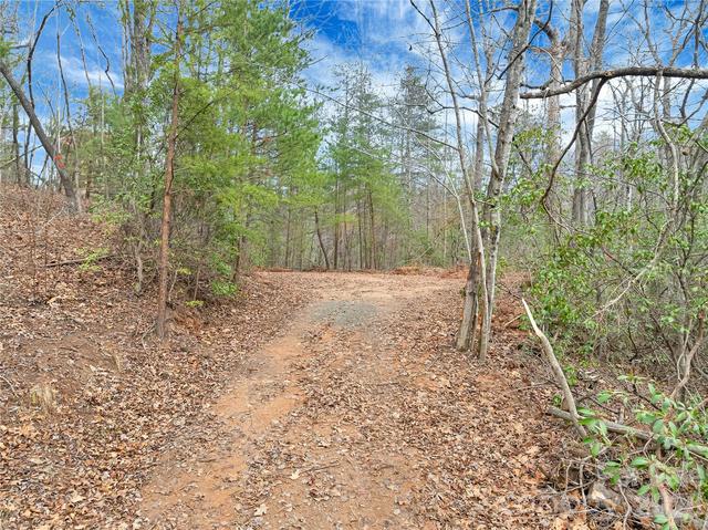 102 Deep Woods Lane #102, Saluda, NC 28773