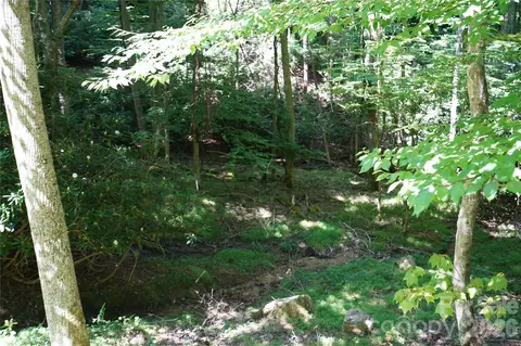 109 Laurel Ln, Beech Mountain, NC 28604 photo 3