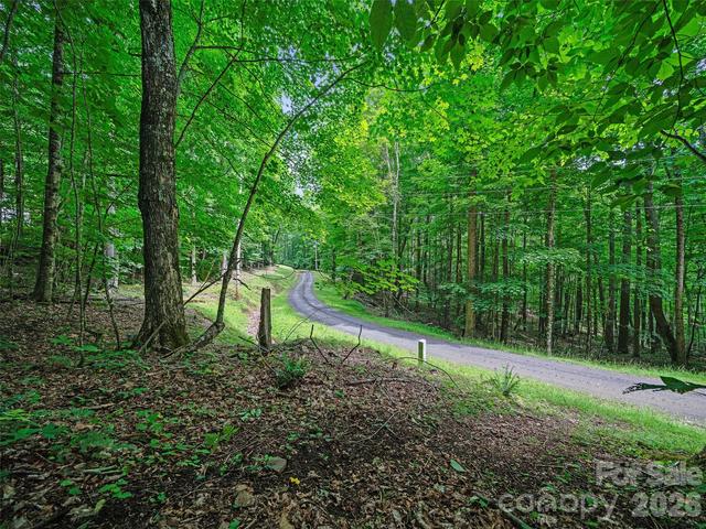 000 Shadow Moss 8b Dr #8B, Burnsville, NC 28714