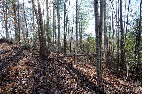 0 Wildwood Mountain 8 Ln #8, Marion, NC 28752