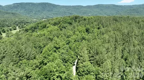 1194 Palmer Rd, Mill Spring, NC 28756 photo 6