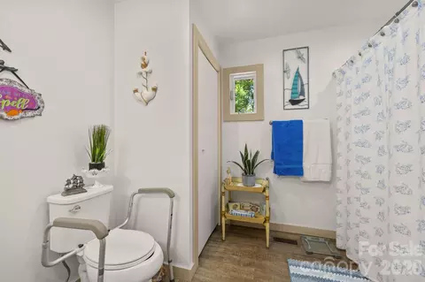 Bath - 54 Thad Johnson Rd, Saluda, NC 28773 photo 3 of 3