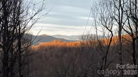 64 Clay View Dr, Fairview, NC 28730 photo 9