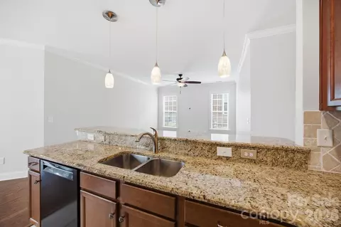 18210 Ebenezer Dr, Cornelius, NC 28031 photo 13