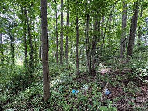 Other - Sharon Road, Fairview, NC 28730 photo 6 of 23