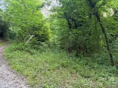 00 Heavenly View Dr, Sylva, NC 28779
