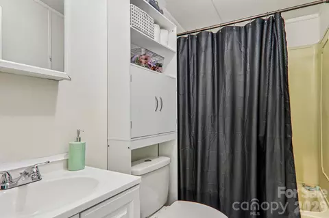 Bath - 85 Star Flower Rd, Alexander, NC 28701 photo 2 of 2