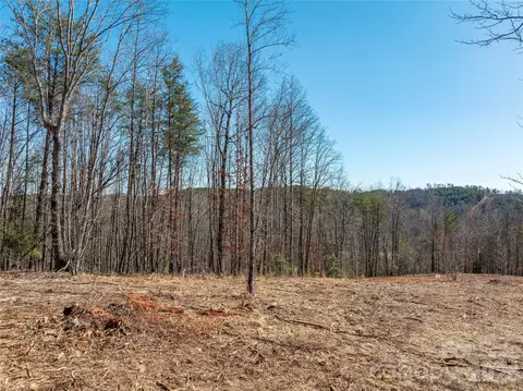 Price Summit Way, Mill Spring, NC 28756 photo 12
