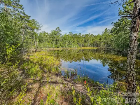 0 Hwy 1 Hwy, Patrick, SC 29584