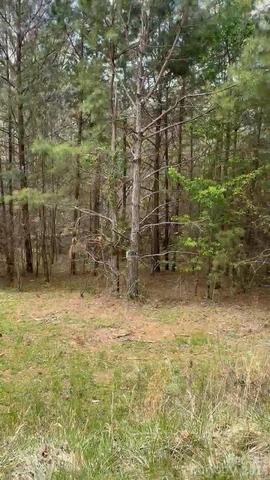 117 Churchview 1 Dr #1, Lawndale, NC 28090