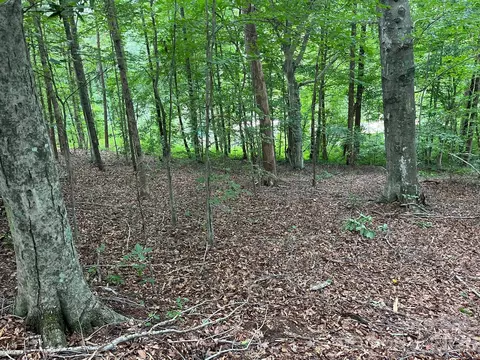 Moore Branch Drive, Nebo, NC 28761