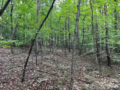 Moore Branch Drive, Nebo, NC 28761 photo 8