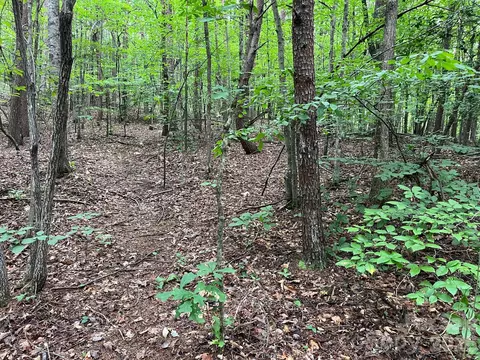 Moore Branch Drive, Nebo, NC 28761 photo 14