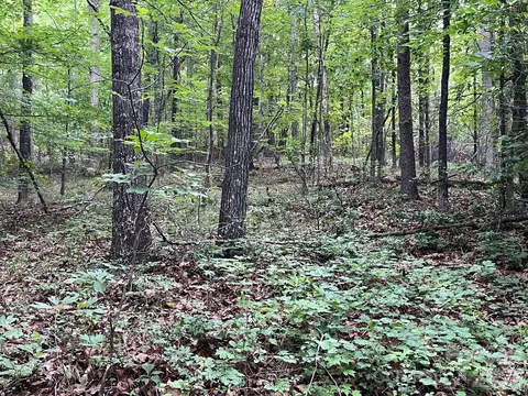 Moore Branch Drive, Nebo, NC 28761 photo 9