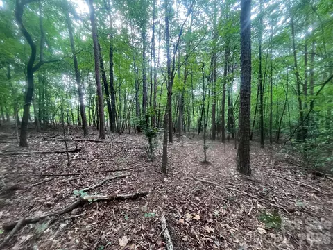Moore Branch Drive, Nebo, NC 28761 photo 5