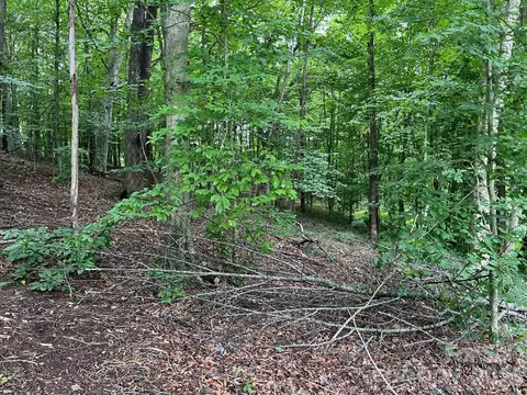 Moore Branch Drive, Nebo, NC 28761 photo 10