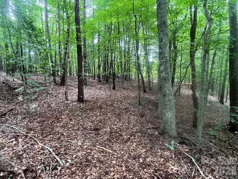Moore Branch Drive, Nebo, NC 28761 photo 4