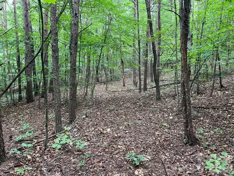 Moore Branch Drive, Nebo, NC 28761 photo 13