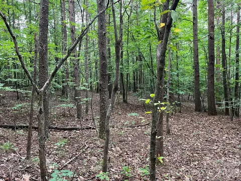Moore Branch Drive, Nebo, NC 28761 photo 7