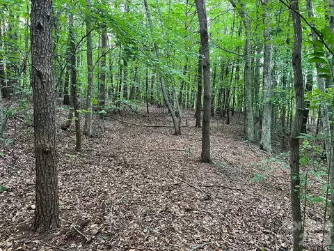 Moore Branch Drive, Nebo, NC 28761