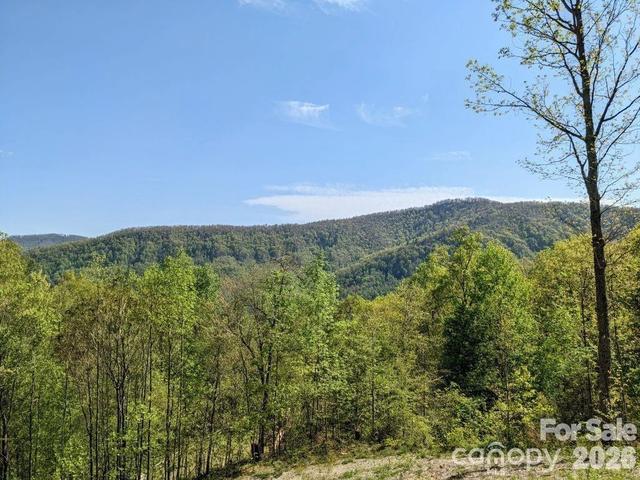351 Kestrel T-67 Ln #T-67, Black Mountain, NC 28711
