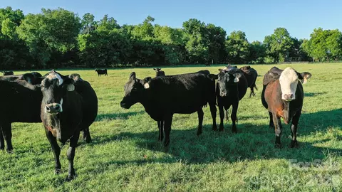 Other - 8504 Hampton Rd, Clemmons, NC 27012 photo 9 of 20