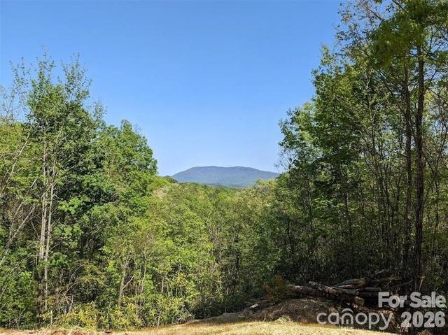 171 Nuthatch C-30 Ln #C-30, Black Mountain, NC 28711