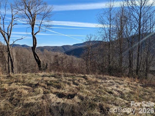 117 Ironwood C-20 Ln #C-20, Black Mountain, NC 28711