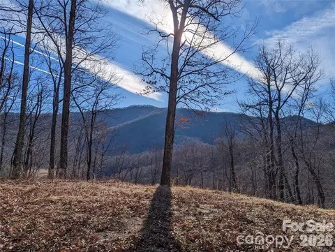 367 Kestrel T-85 Ln #T-85, Black Mountain, NC 28711