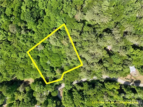 000 Enchanted Forest 1 Dr #1, Sylva, NC 28779 photo 3